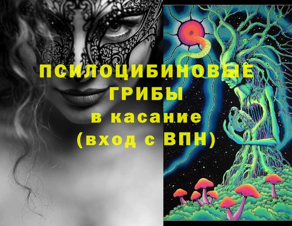 крисы Абдулино
