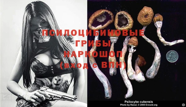 МДПВ Абаза