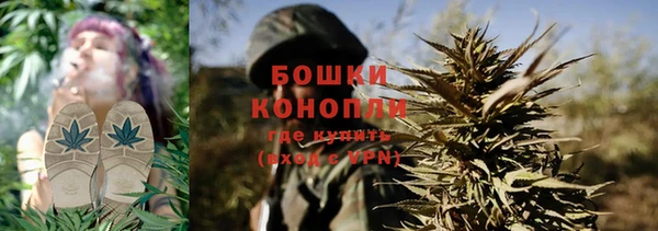 крисы Абдулино